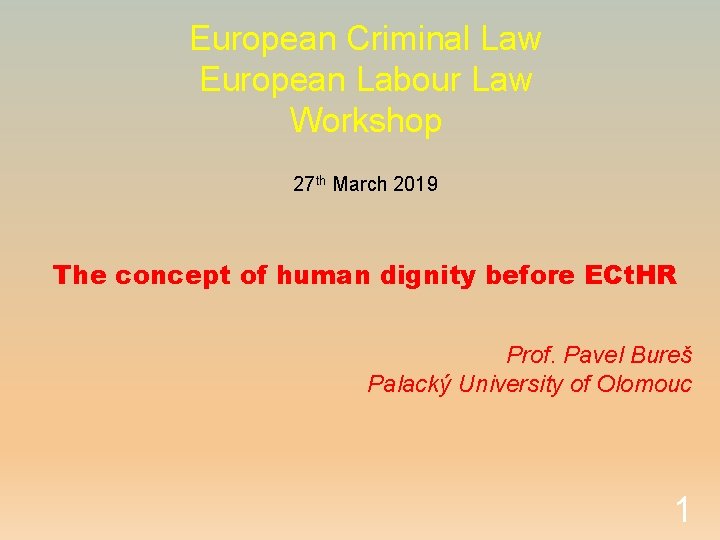 European Criminal Law European Labour Law Workshop 27 th March 2019 The concept of