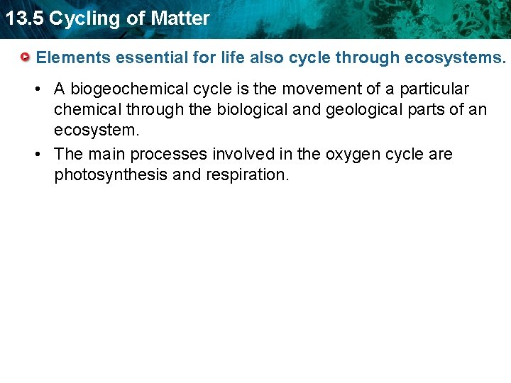 13. 5 Cycling of Matter Elements essential for life also cycle through ecosystems. •