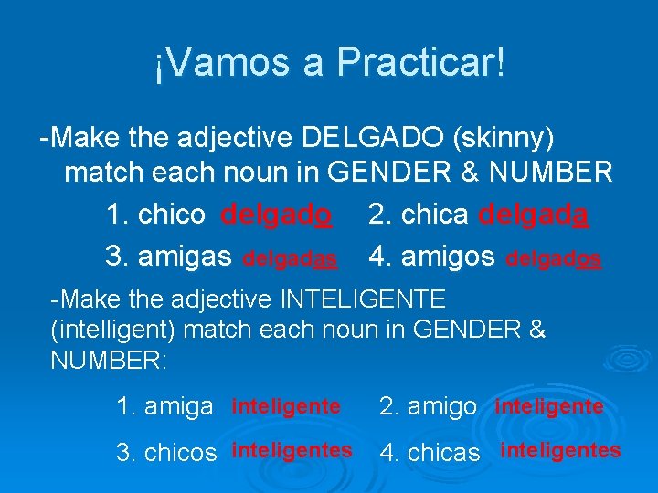 ¡Vamos a Practicar! -Make the adjective DELGADO (skinny) match each noun in GENDER &