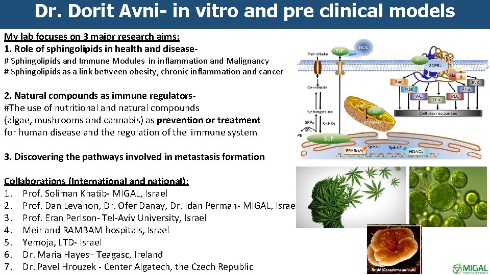 Dr. Dorit Avni- in vitro and pre clinical models My lab focuses on 3
