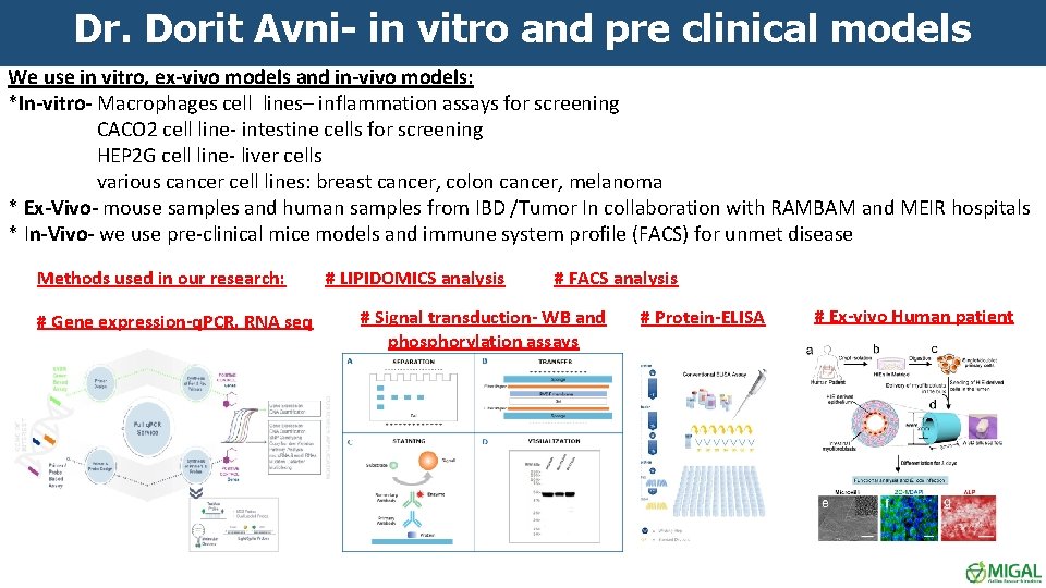 Dr. Dorit Avni- in vitro and pre clinical models We use in vitro, ex-vivo Dr. Dorit Avni- in vitro and pre clinical models We use in vitro, ex-vivo