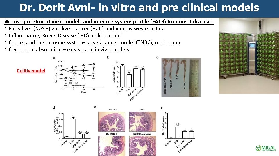 Dr. Dorit Avni- in vitro and pre clinical models We use pre-clinical mice models