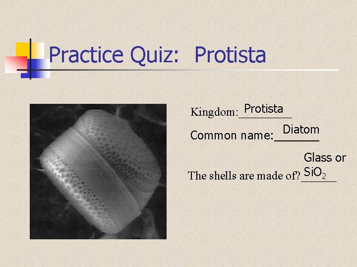 Practice Quiz: Protista Kingdom: _____ Diatom Common name: _______ Glass or Si. O 2