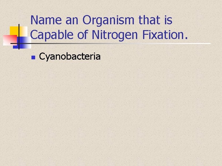 Name an Organism that is Capable of Nitrogen Fixation. n Cyanobacteria 