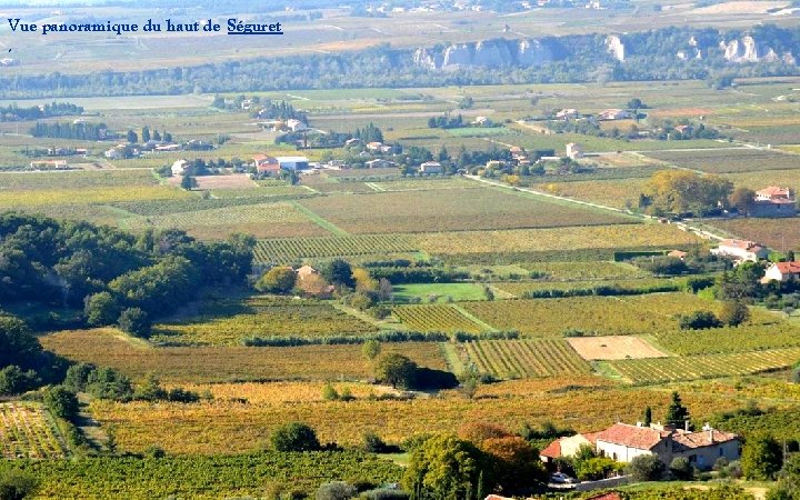 Vue panoramique du haut de Séguret. 