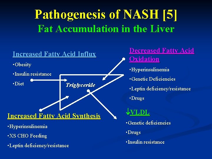 Pathogenesis of NASH [5] Fat Accumulation in the Liver Increased Fatty Acid Influx •