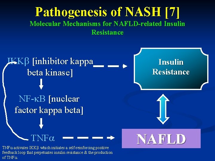 Pathogenesis of NASH [7] Molecular Mechanisms for NAFLD-related Insulin Resistance IKK [inhibitor kappa beta