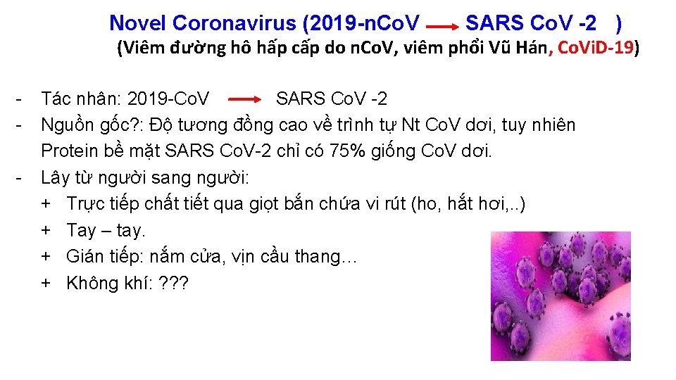Novel Coronavirus (2019 -n. Co. V SARS Co. V -2 ) (Viêm đường hô