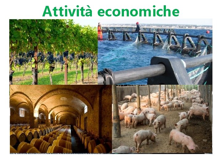 Attività economiche 