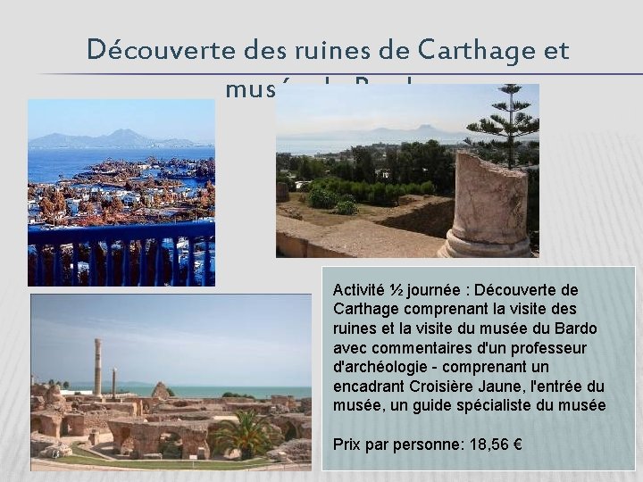 Découverte des ruines de Carthage et musée du Bardo Activité ½ journée : Découverte