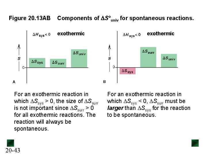 Figure 20. 13 AB Components of DS°univ for spontaneous reactions. exothermic For an exothermic