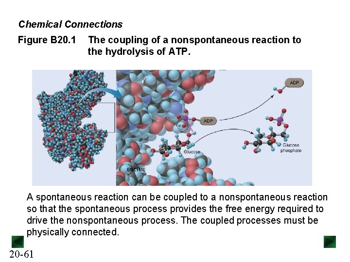 Chemical Connections Figure B 20. 1 The coupling of a nonspontaneous reaction to the