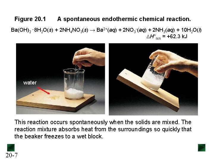 Figure 20. 1 A spontaneous endothermic chemical reaction. Ba(OH)2 · 8 H 2 O(s)