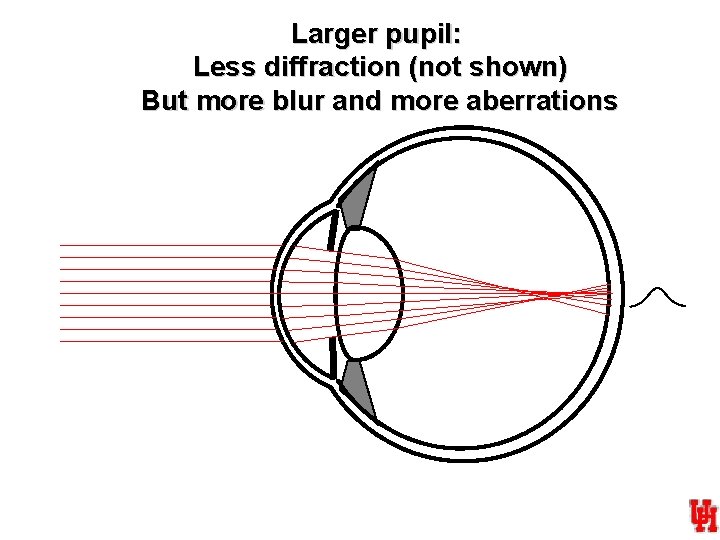 Larger pupil: Less diffraction (not shown) But more blur and more aberrations 
