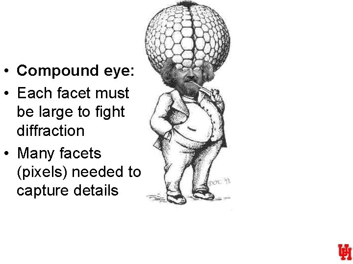  • Compound eye: • Each facet must be large to fight diffraction •