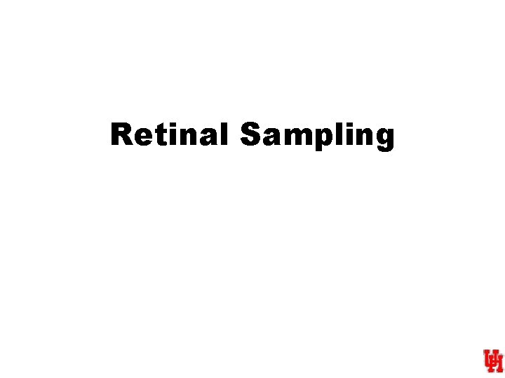Retinal Sampling 