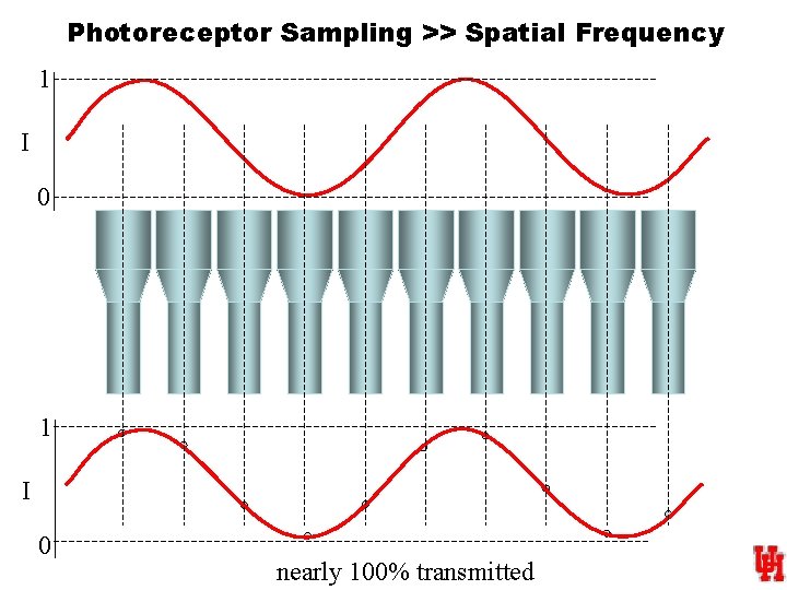 Photoreceptor Sampling >> Spatial Frequency 1 I 0 nearly 100% transmitted 