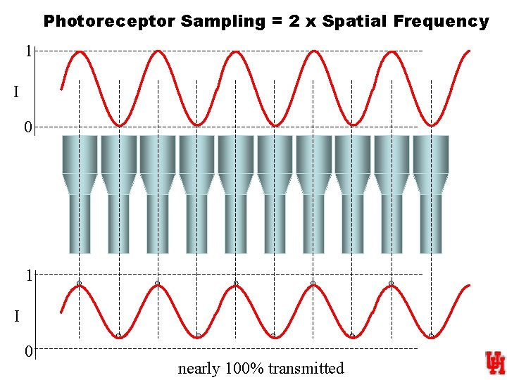 Photoreceptor Sampling = 2 x Spatial Frequency 1 I 0 nearly 100% transmitted 