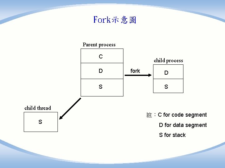 Fork示意圖 Parent process C D S child process fork D S child thread 註：C