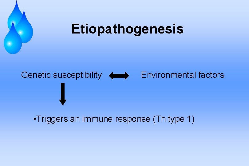 Etiopathogenesis Genetic susceptibility Environmental factors • Triggers an immune response (Th type 1) 