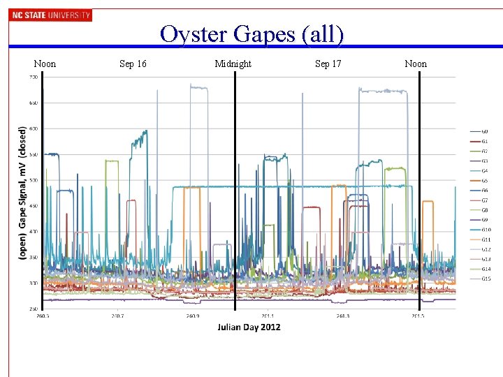 Oyster Gapes (all) Noon Sep 16 Midnight Sep 17 Noon 