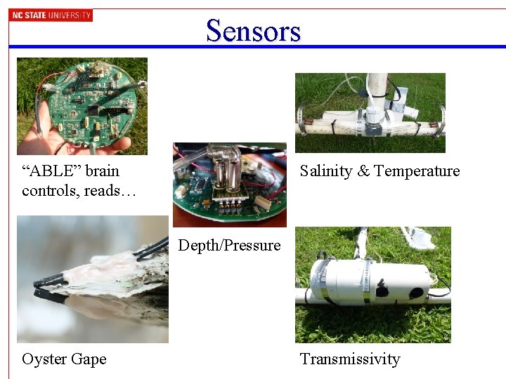 Sensors “ABLE” brain controls, reads… Salinity & Temperature Depth/Pressure Oyster Gape Transmissivity 