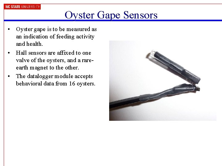 Oyster Gape Sensors • Oyster gape is to be measured as an indication of