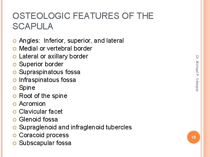 OSTEOLOGIC FEATURES OF THE SCAPULA Dr. Michael P. Gillespie Angles: Inferior, superior, and lateral