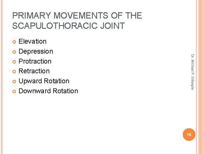 PRIMARY MOVEMENTS OF THE SCAPULOTHORACIC JOINT Elevation Depression Protraction Retraction Upward Rotation Downward Rotation