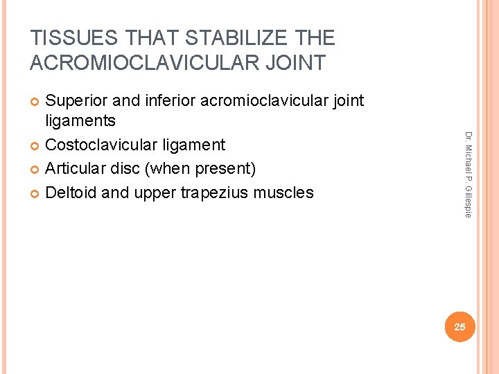 TISSUES THAT STABILIZE THE ACROMIOCLAVICULAR JOINT Superior and inferior acromioclavicular joint ligaments Costoclavicular ligament