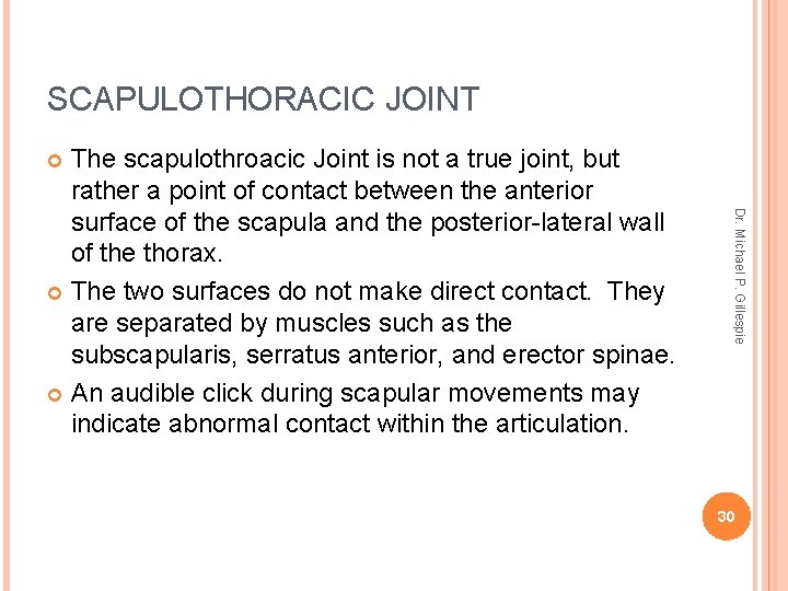 SCAPULOTHORACIC JOINT The scapulothroacic Joint is not a true joint, but rather a point
