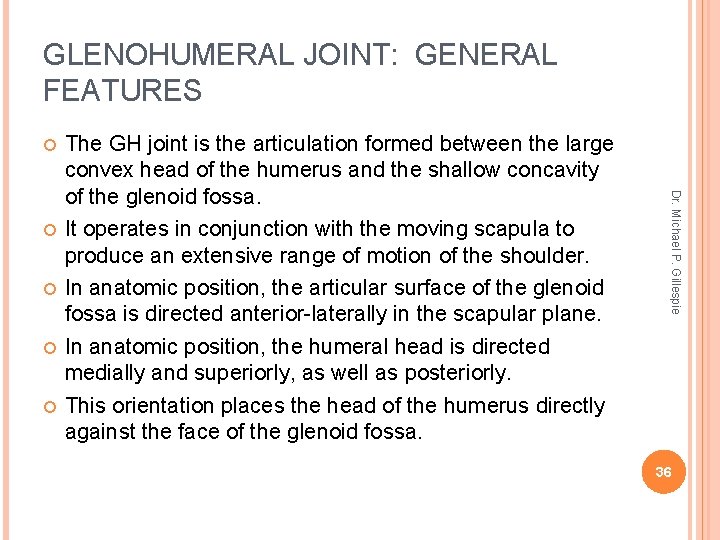 GLENOHUMERAL JOINT: GENERAL FEATURES Dr. Michael P. Gillespie The GH joint is the articulation