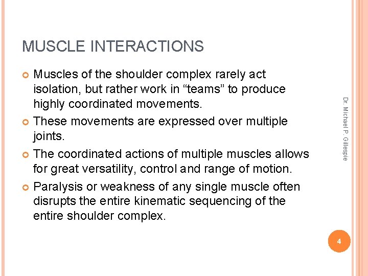 MUSCLE INTERACTIONS Muscles of the shoulder complex rarely act isolation, but rather work in