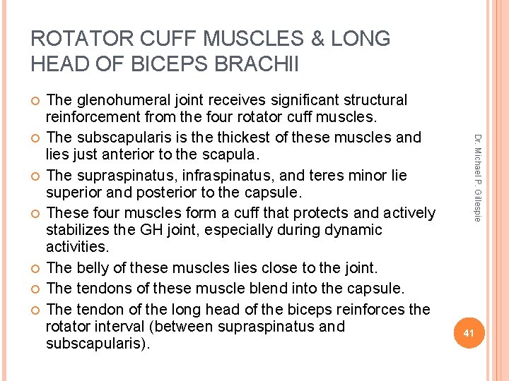 ROTATOR CUFF MUSCLES & LONG HEAD OF BICEPS BRACHII Dr. Michael P. Gillespie The