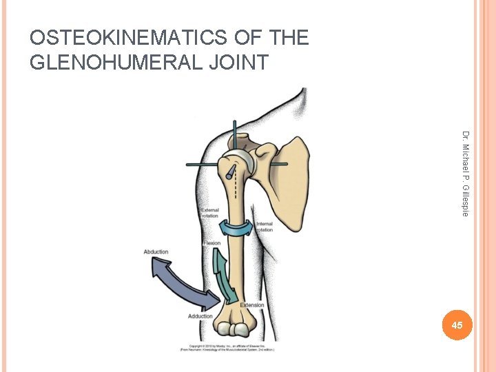 OSTEOKINEMATICS OF THE GLENOHUMERAL JOINT Dr. Michael P. Gillespie 45 