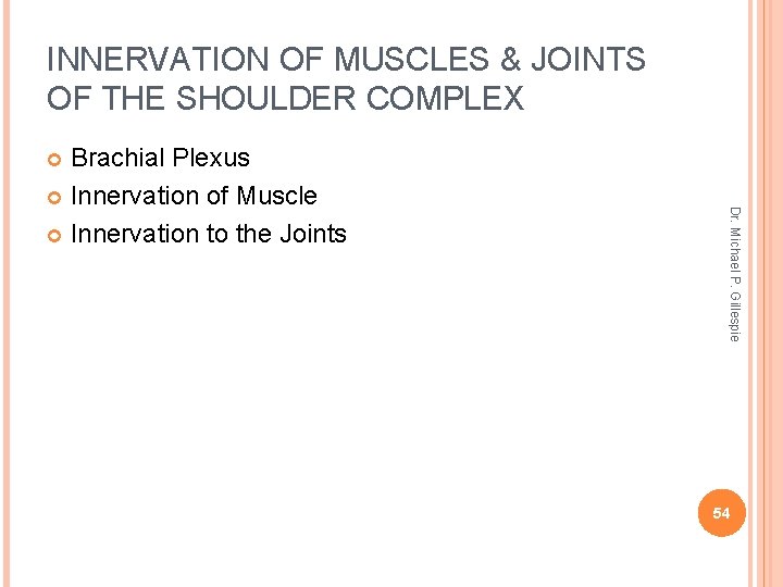 INNERVATION OF MUSCLES & JOINTS OF THE SHOULDER COMPLEX Brachial Plexus Innervation of Muscle