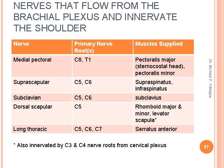 NERVES THAT FLOW FROM THE BRACHIAL PLEXUS AND INNERVATE THE SHOULDER Primary Nerve Root(s)