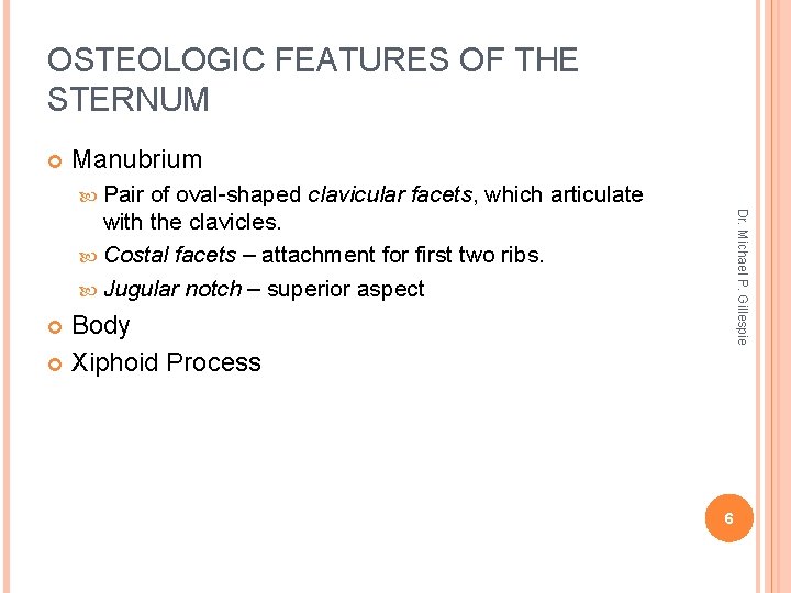 OSTEOLOGIC FEATURES OF THE STERNUM Manubrium Pair Dr. Michael P. Gillespie of oval-shaped clavicular