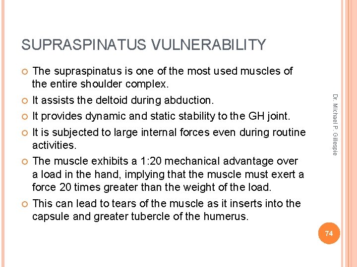 SUPRASPINATUS VULNERABILITY Dr. Michael P. Gillespie The supraspinatus is one of the most used