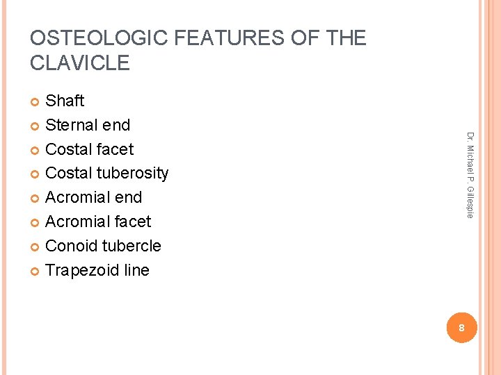 OSTEOLOGIC FEATURES OF THE CLAVICLE Shaft Sternal end Costal facet Costal tuberosity Acromial end