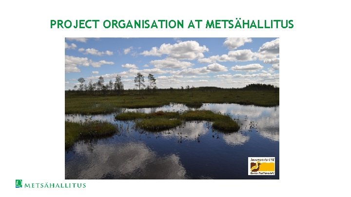 PROJECT ORGANISATION AT METSÄHALLITUS 