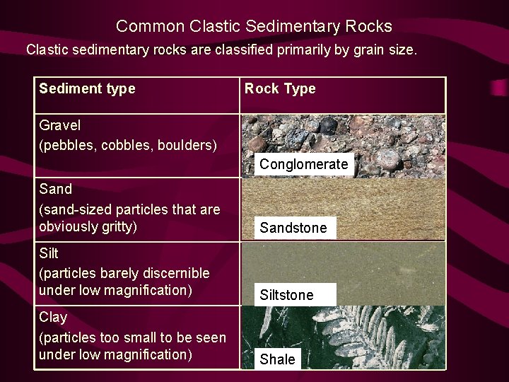Common Clastic Sedimentary Rocks Clastic sedimentary rocks are classified primarily by grain size. Sediment