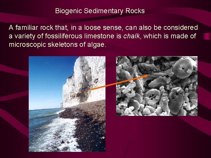 Biogenic Sedimentary Rocks A familiar rock that, in a loose sense, can also be