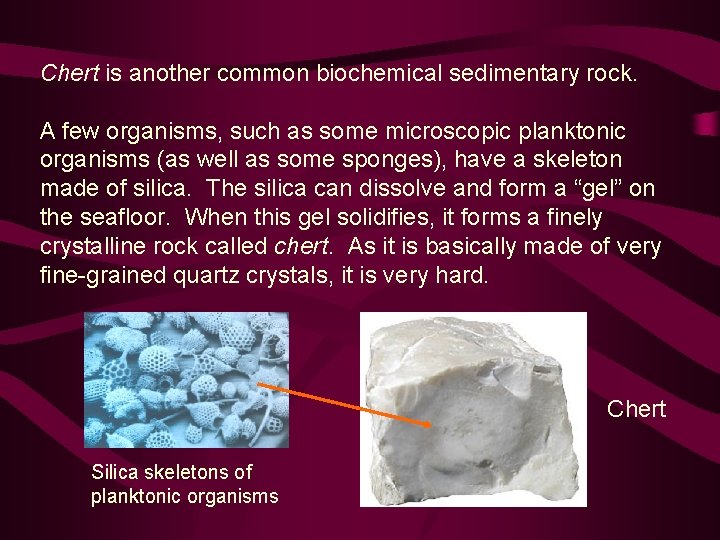 Chert is another common biochemical sedimentary rock. A few organisms, such as some microscopic