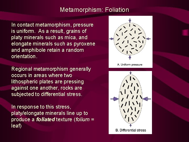 Metamorphism: Foliation In contact metamorphism, pressure is uniform. As a result, grains of platy