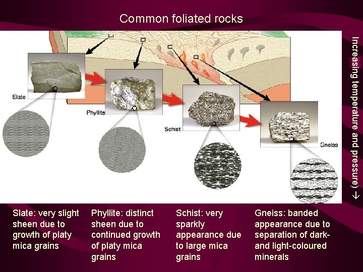 Common foliated rocks Increasing temperature and pressure) Slate: very slight sheen due to growth