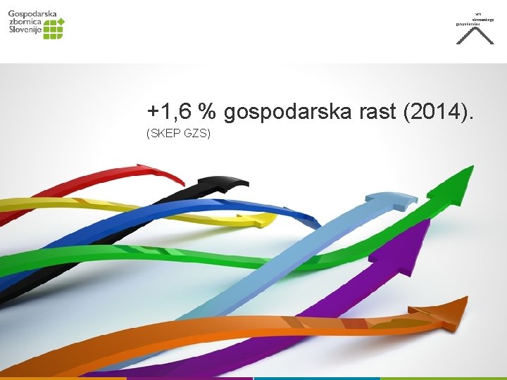 +1, 6 % gospodarska rast (2014). (SKEP GZS) 