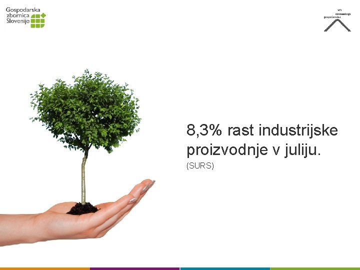 8, 3% rast industrijske proizvodnje v juliju. (SURS) 