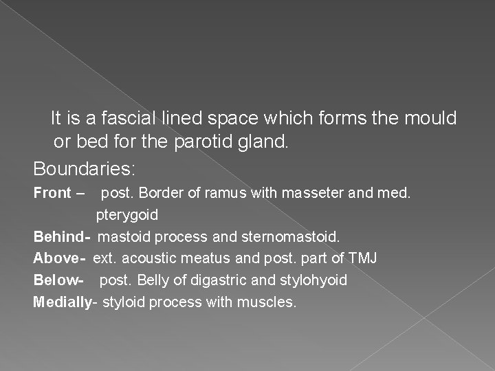It is a fascial lined space which forms the mould or bed for the It is a fascial lined space which forms the mould or bed for the