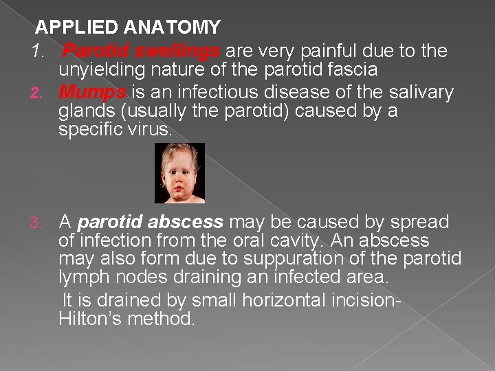 APPLIED ANATOMY 1. Parotid swellings are very painful due to the unyielding nature of APPLIED ANATOMY 1. Parotid swellings are very painful due to the unyielding nature of
